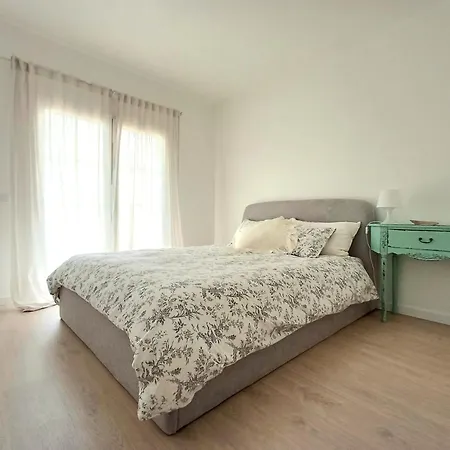 Vibes * 埃里塞拉