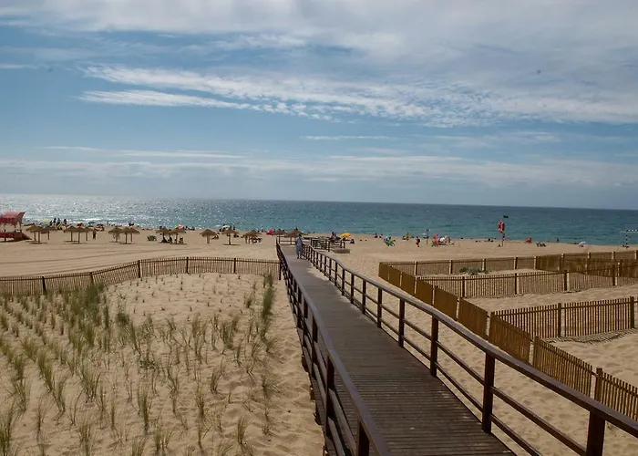 Vibes 公寓 埃里塞拉