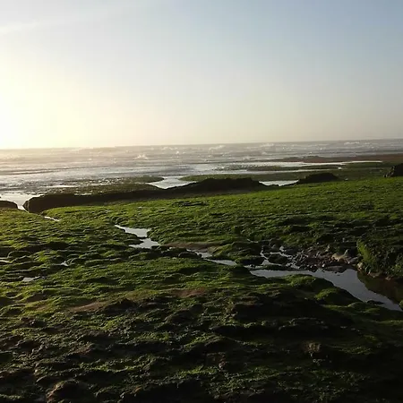 Vibes Apartman Ericeira