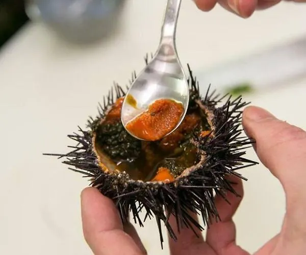 Appartamento Vibes *