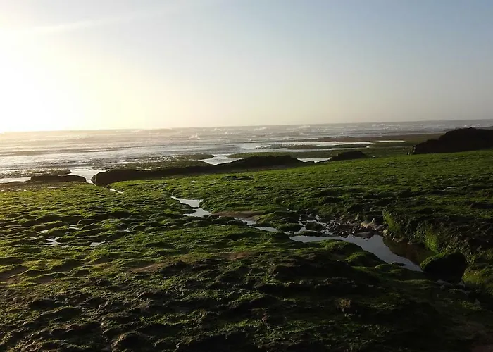 Vibes Apartamento Ericeira